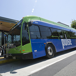 A GRTC blue/green Pulse bus pulls up to a bus stop on a sunny day